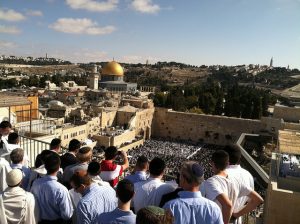 PhotoGallery6-300x224